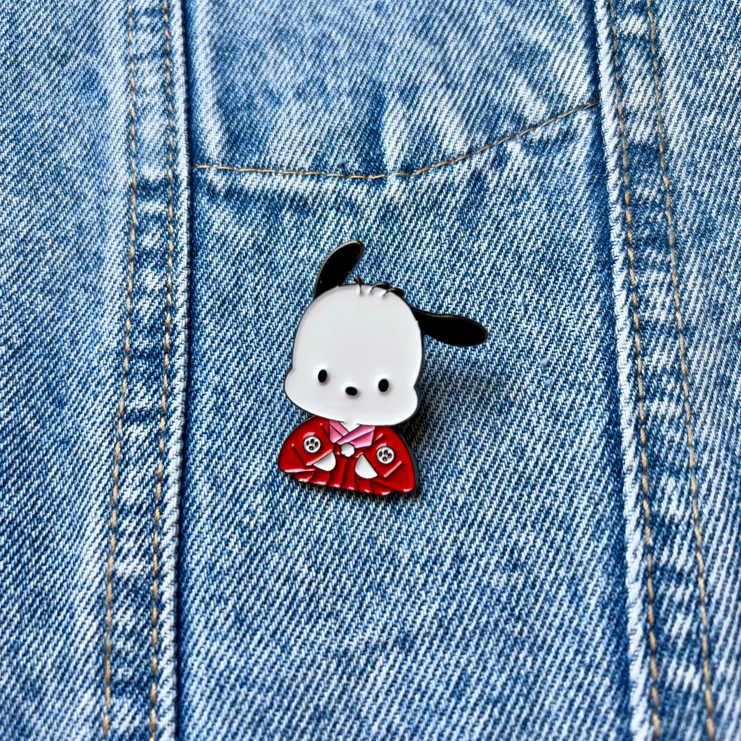 PIN POCHACO