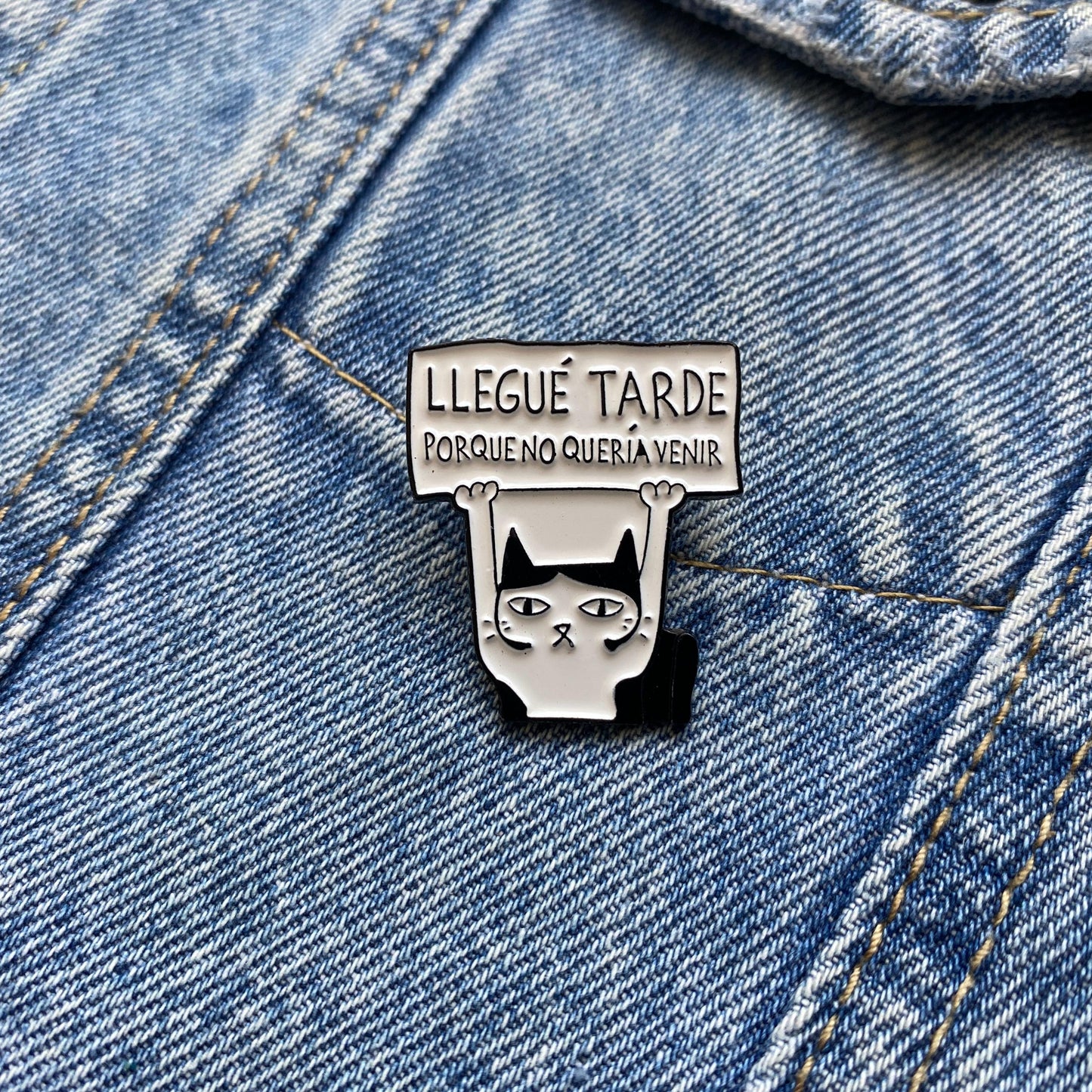 PIN GATO FLOJO