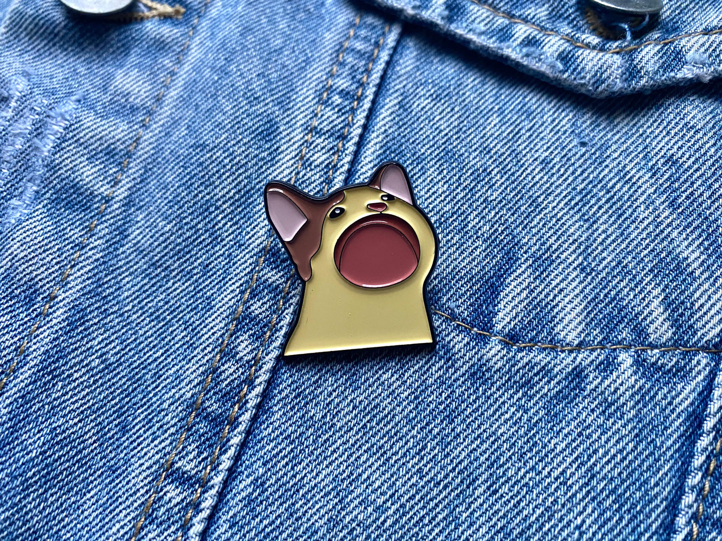 PIN GATO MEME
