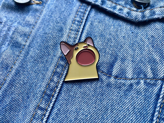 PIN GATO MEME